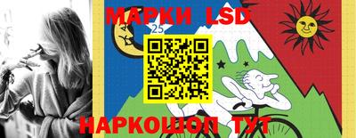 твердый Камышлов