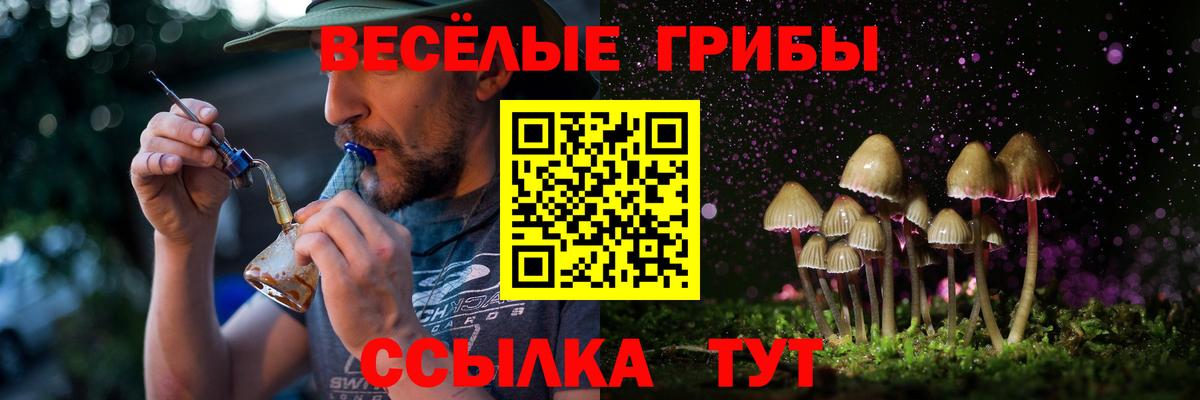 Галлюциногенные грибы мухоморы  Вход с VPN  Галлюциногенные грибы Psilocybine cubensis  Куйбышев 